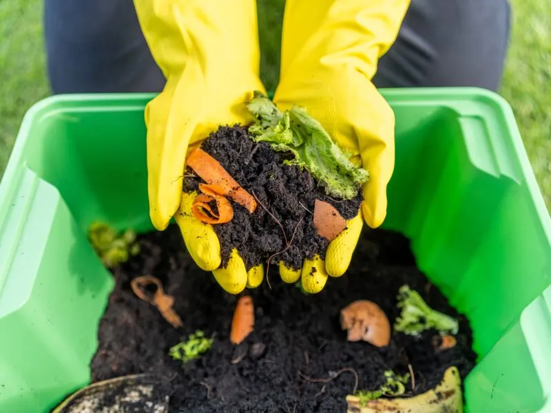 What's the Right Compost for Your Plants