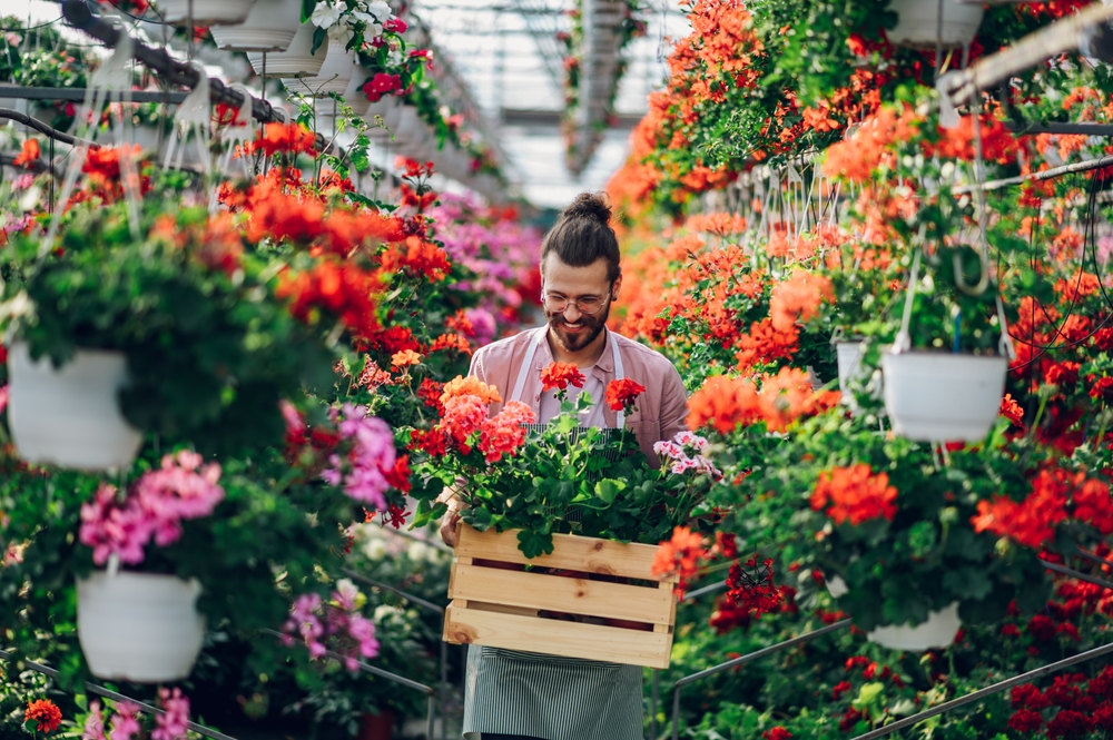 How West Somerset Garden Centre Can Help Prepare Your Garden